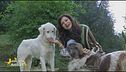 Bianca e Bernie, i cagnolini coccolosi di Katia Noventa