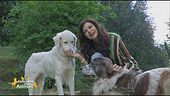 Bianca e Bernie, i cagnolini coccolosi di Katia Noventa