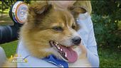 Notizie dal mondo con Lucky