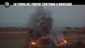 MARTINELLI: Terra dei fuochi: le discariche, i roghi di rifiuti tossici e i campi coltivati