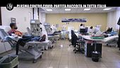 POLITI: Plasma, perché il tampone non è gratuito per tutti i donatori?