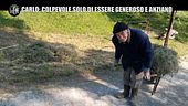 NINA: Carlo Gilardi, da 40 giorni in rsa: lo facciamo tornare a casa?
