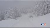 Neve al centronord e allerta valanghe