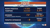 Green pass per lavorare, oltre 130mila vittime