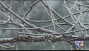 Arriva il gelo polare Bufere di vento e neve