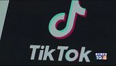 Tik tok, garante blocca gli account dei minori