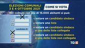 12 milioni al voto, affluenza al 12,8%