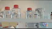Confronto sui vaccini, ReiThera sperimenta