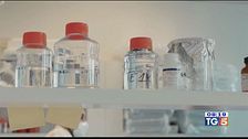 Confronto sui vaccini, ReiThera sperimenta
