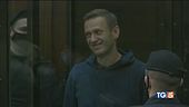 Navalny condannato "Putin avvelenatore"