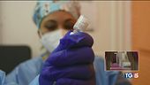 Vaccini, fare in fretta allarme truffe on-line