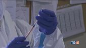 "A giugno più di venti milioni di vaccini"