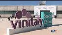 Vinitaly, è ripartenza export vale 7 miliardi