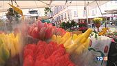 S.Valentino tra fiori, frappe e castagnole
