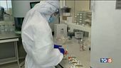 OMS: contagi dimezzati verso zone rosse ad hoc