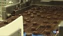 Cioccolato, boom di vendite