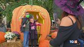 Ponte di Ognissanti Halloween e vacanze