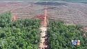 Più alberi e meno smog, timido accordo a Cop26