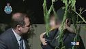 Cleo è sana e salva Fermato il rapinatore