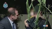 Cleo è sana e salva Fermato il rapinatore