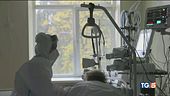 Ora la quarta ondata "L'epicentro in Europa"