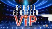 Grande Fratello Vip, stasera finalissima