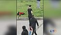 Spranghe e violenza maxirissa in piazza