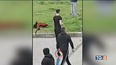 Spranghe e violenza maxirissa in piazza