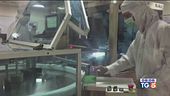 Bloccato l'export di Astrazeneca