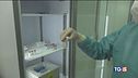 "I vaccini arrivano adesso accelerare"