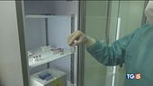 "I vaccini arrivano adesso accelerare"