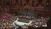 La manovra al Senato battaglia tra i partiti