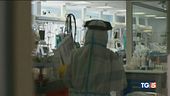 Contagio cresce meno Nobel ai nostri medici?