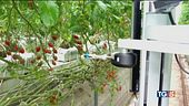 Sensori e robot, è l'agricoltura 4.0