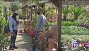 Respirare la bellezza tra i giardini in fiore