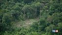 Siccità e roghi, così muore l'Amazzonia