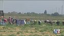 Inchiesta caporalato, colpite grandi imprese
