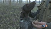 Loro sì che hanno fiuto per il tartufo!