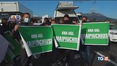 "Imprese disperate vogliamo riaprire"