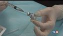 Necessario vaccinarsi per fermare Omicron