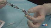 Necessario vaccinarsi per fermare Omicron