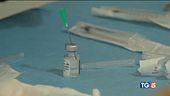 Vaccini, alle Regioni obiettivi giornalieri