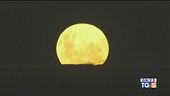 Spettacolo Luna