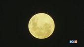 La superluna dà spettacolo