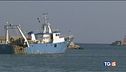 E' la guerra della pesca