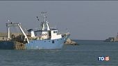 E' la guerra della pesca