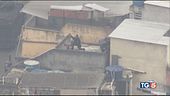 Raid antidroga a Rio Strage in una favela