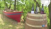 E ora l'Europa vuole annacquare il vino!