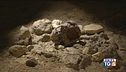 Neanderthal al Circeo, "Una capsula del tempo"