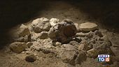 Neanderthal al Circeo, "Una capsula del tempo"